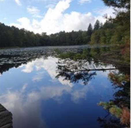 Cap sur les Vosges du Nord : la marche Compostelle-Cordoue s&rsquo;élance demain